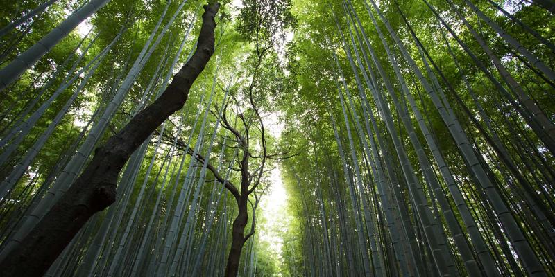 MPLS在软件定义时代：仍是电商网络技术的基石吗？