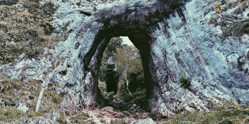 Network Technology 69：构建数字商业未来的网络基础设施与营销融合