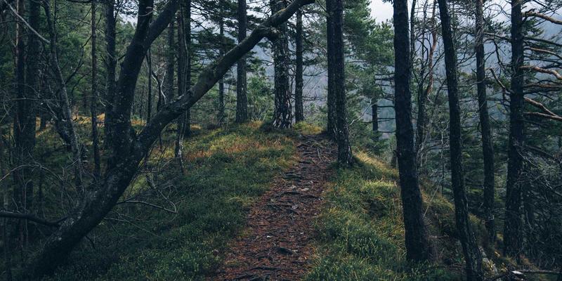 Network Technology 76：构建安全高效的在线交易与营销新生态