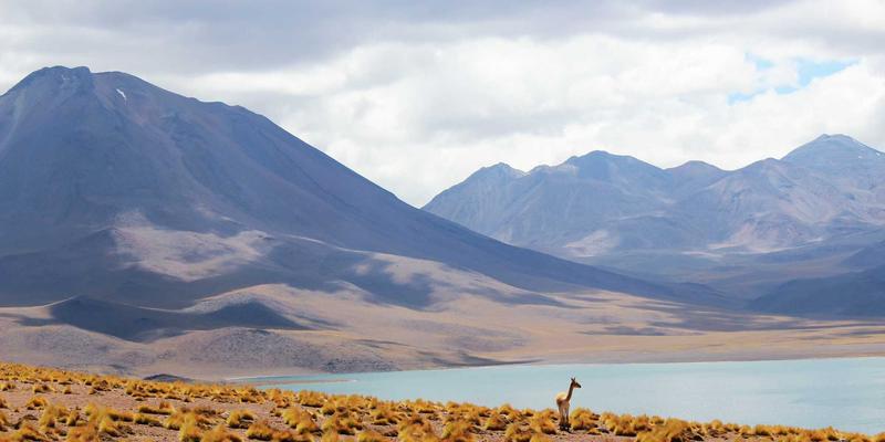 Network Technology 98：网络安全、网络营销与在线交易的融合与挑战