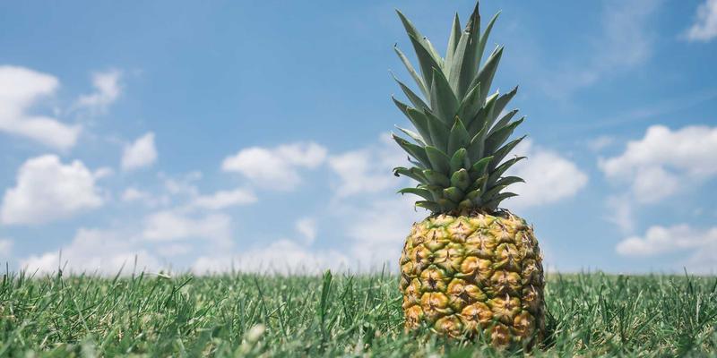 Wi-Fi 6/6E如何重塑企业网络：为高流量在线交易与数字业务打造坚实地基