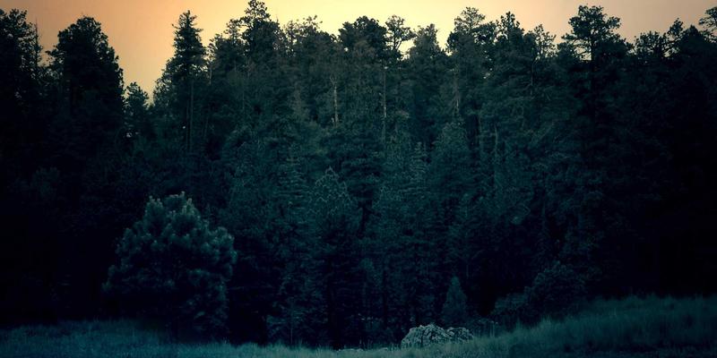 Wi-Fi 7重塑网络：如何为高密度场景与在线交易筑牢网络安全与营销基石