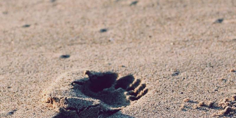 全光网络（F5G/FTTR）如何重塑互联网营销、云计算与在线交易的未来格局