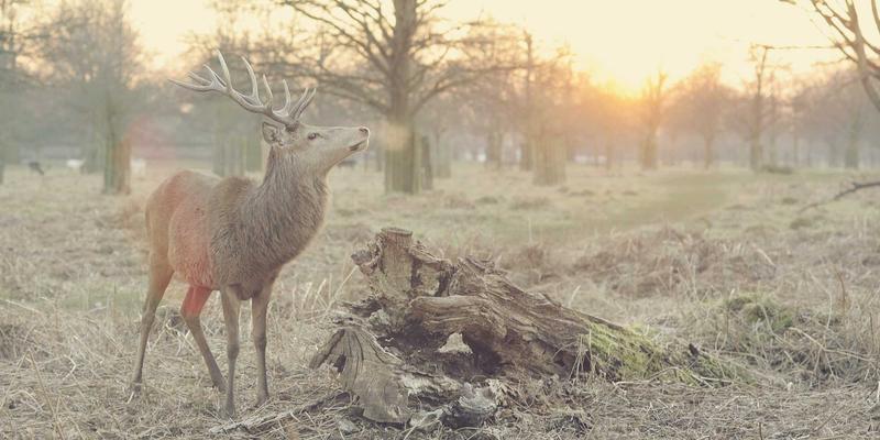 数字业务与网络安全基石：如何通过Ansible和Terraform实现基础设施即代码