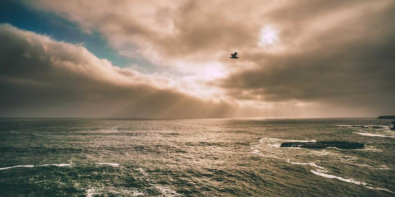 网络技术25：数字商业、网络安全与电子商务的融合与演进