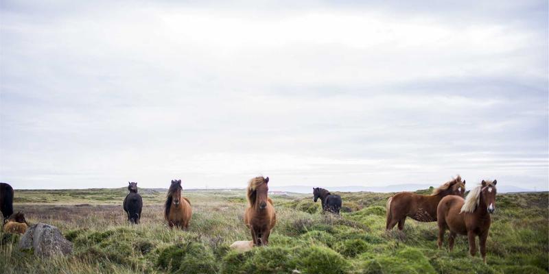 网络技术49：构建数字时代的安全商业基石