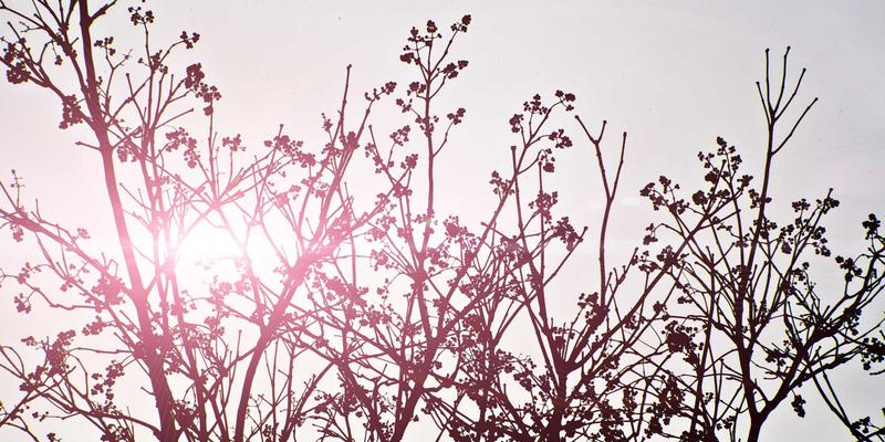 网络技术51：重塑在线交易与网络营销的下一代基础设施