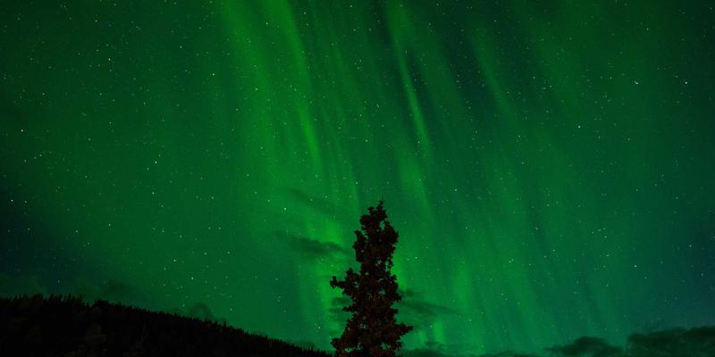 网络技术、Web基础设施与网络安全：构建数字时代的稳固三角