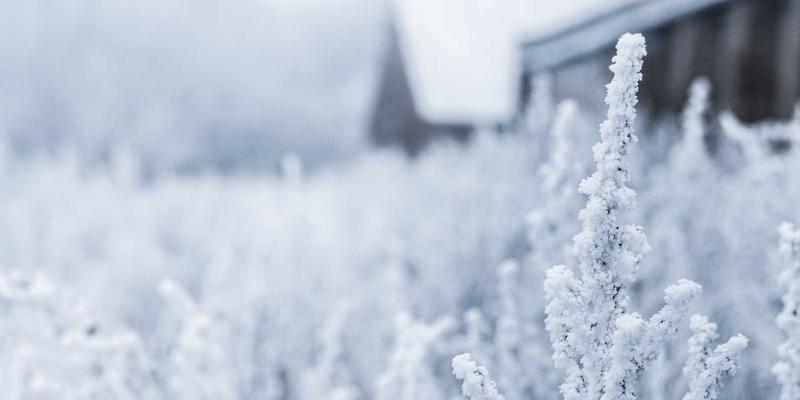 网络技术演进：云计算、网络安全与数字化业务的融合与未来