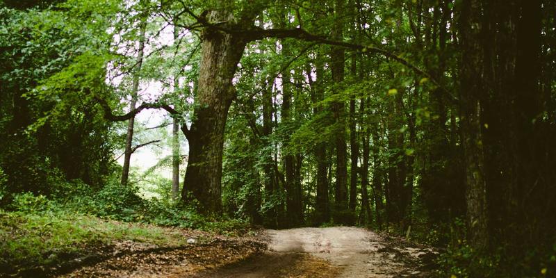 网络数据分析与AIOps：机器学习如何守护您的在线交易与数字业务