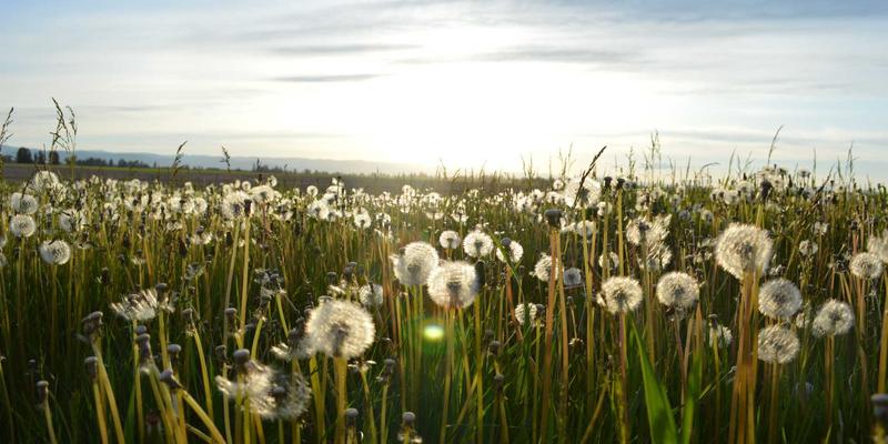 边缘计算与5G MEC：重塑制造业实时数据处理网络，构建网络安全与未来电商新基建
