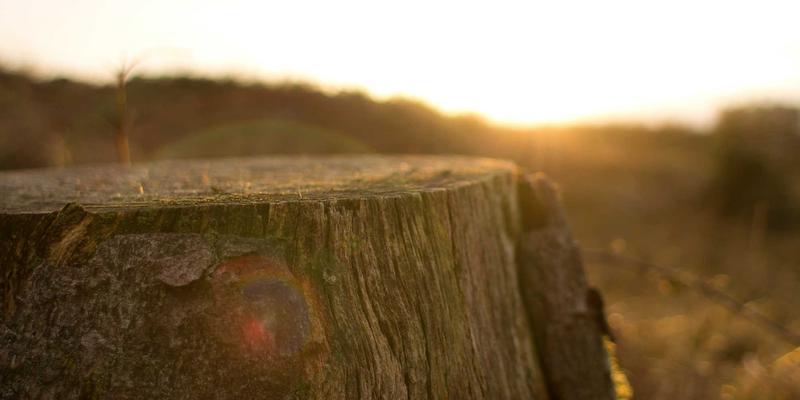 边缘计算与网络技术融合：构建下一代低延迟Web基础设施